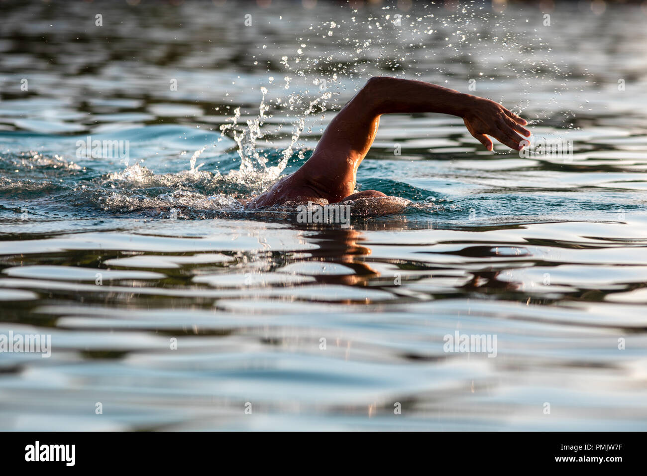 Nuotatore mano sopra la superficie dell'acqua Foto Stock