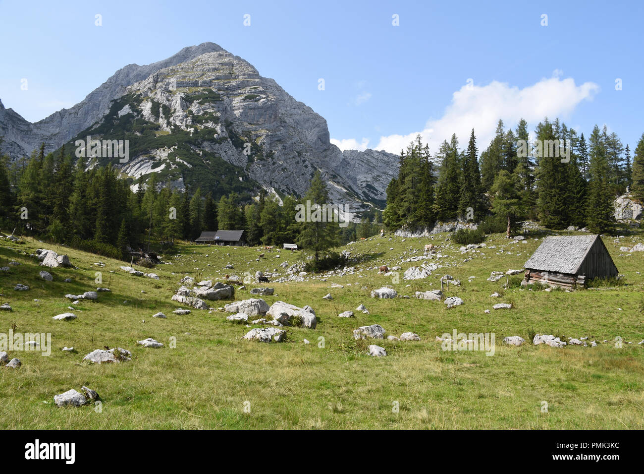 Prato e capanne di legno di fronte Steinkar, Gesause National Park, Austria Foto Stock