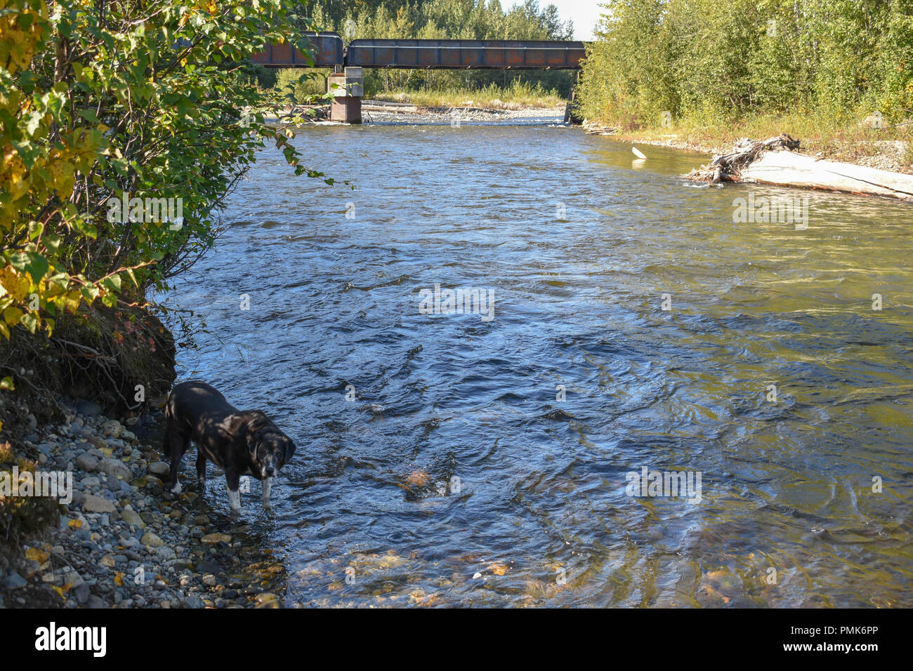 Bertha Creek in Alaska Foto Stock