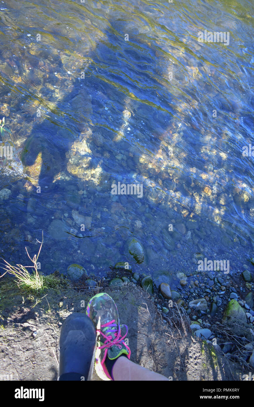 Bertha Creek in Alaska Foto Stock