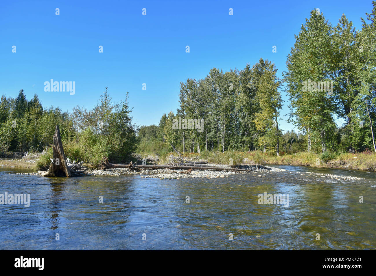 Bertha Creek in Alaska Foto Stock