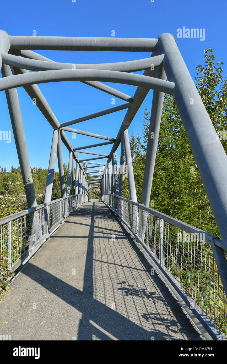 Bertha Creek in Alaska Foto Stock