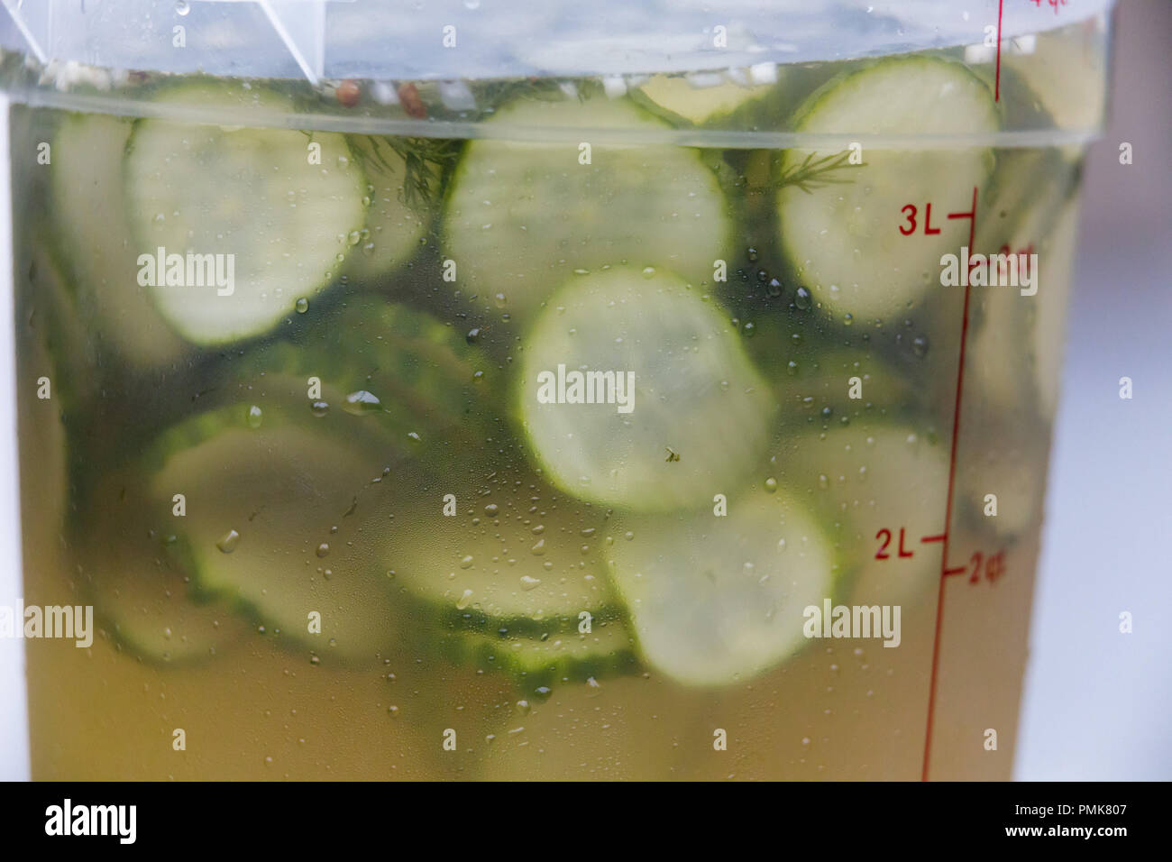 Fatti in casa a base di sottaceti. Stati Uniti d'America. Foto Stock