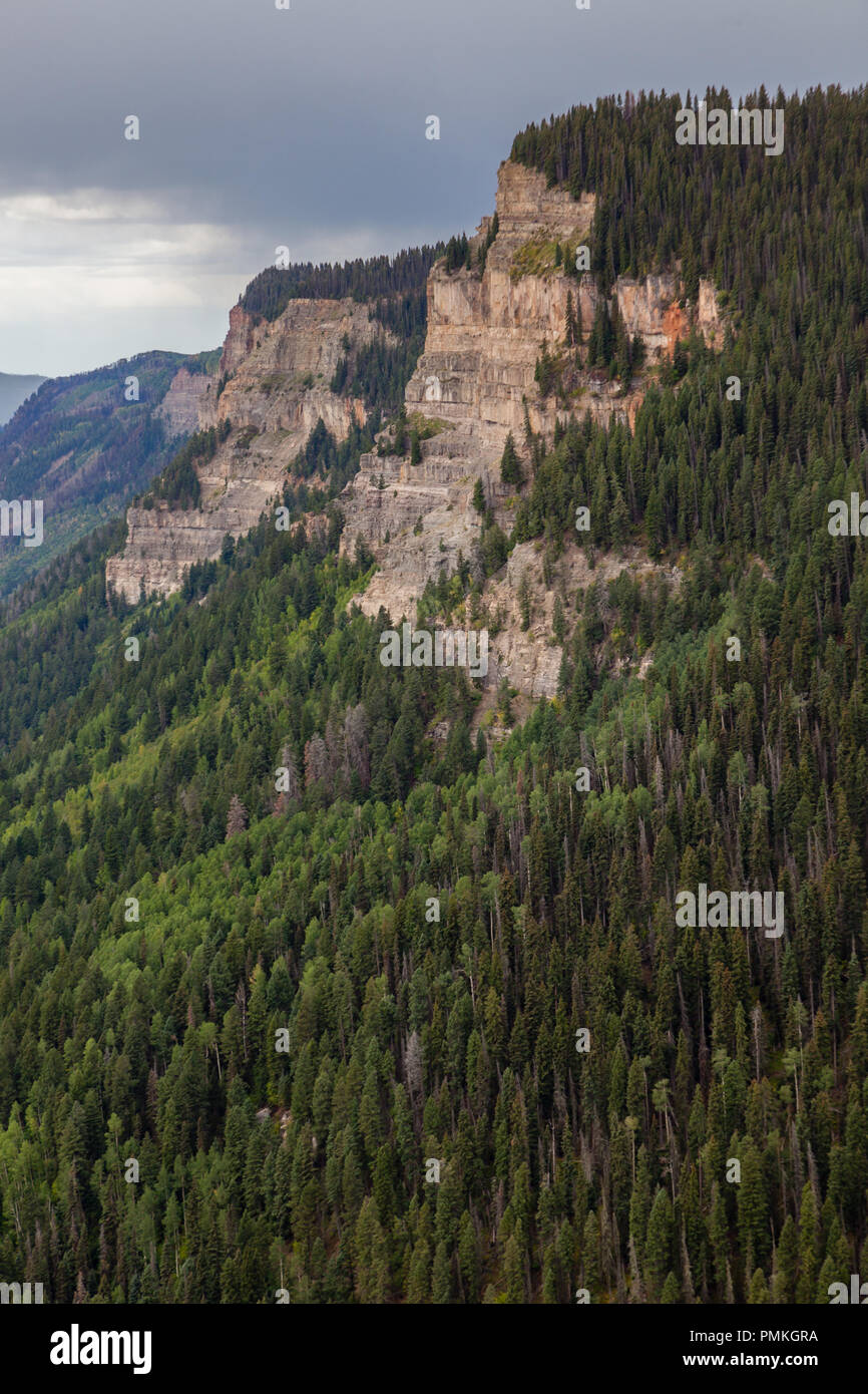 Roccia sedimentaria pareti sono un abbondante funzione dove l'Altopiano del Colorado e le Montagne Rocciose incontrano vicino a Durango, CO. Foto Stock