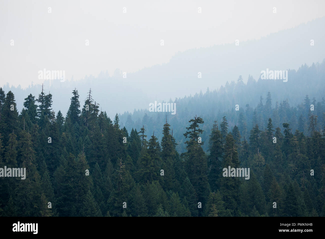 Fumo montagne coperte dalla Terwilliger Fire in Willamette National Forest. Foto Stock