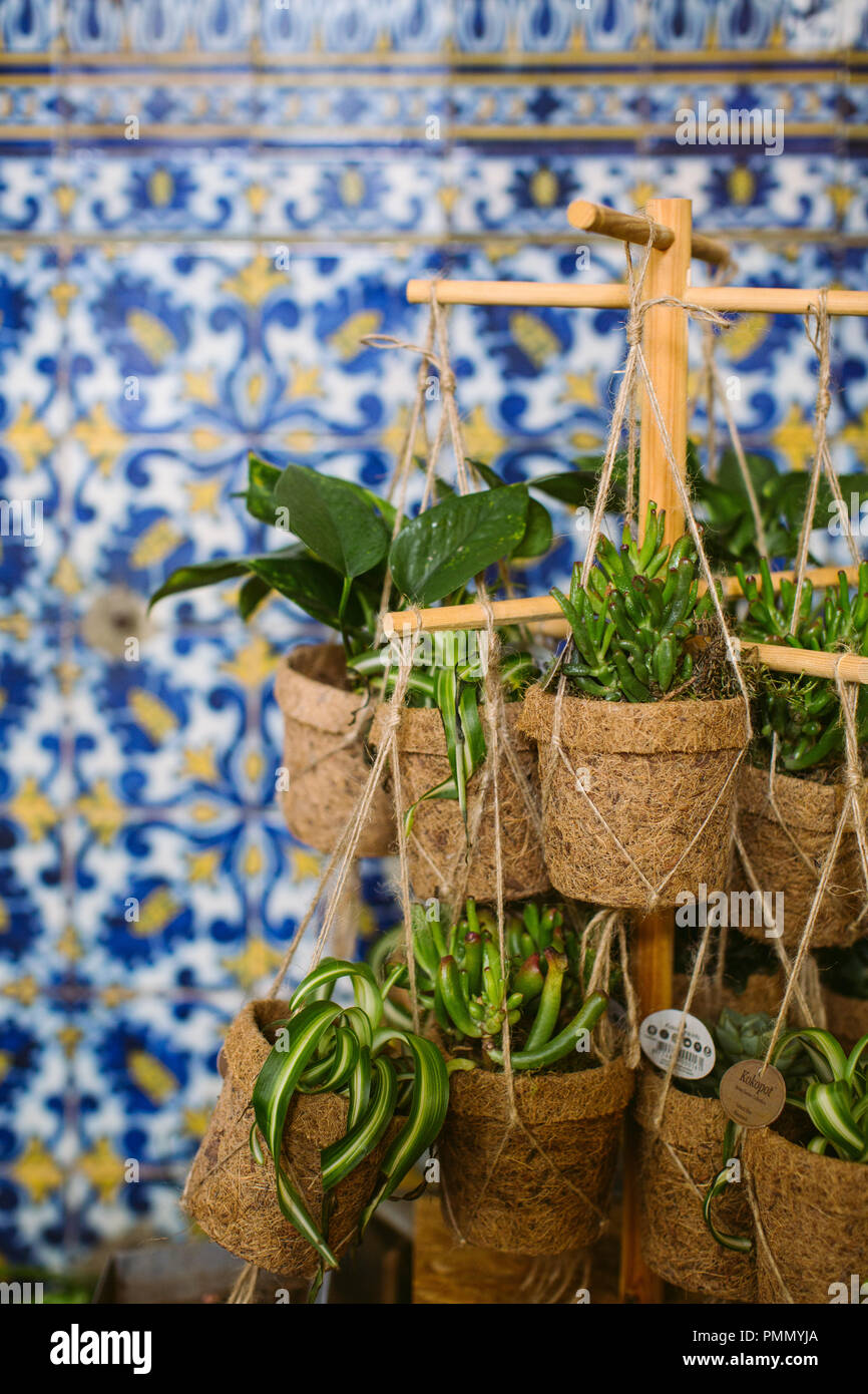 Piante verdi e succulente visualizzati in eco pentole, appeso a una posizione su un mercato in stallo contro uno sfondo di azulejo piastrelle in soft focus Foto Stock