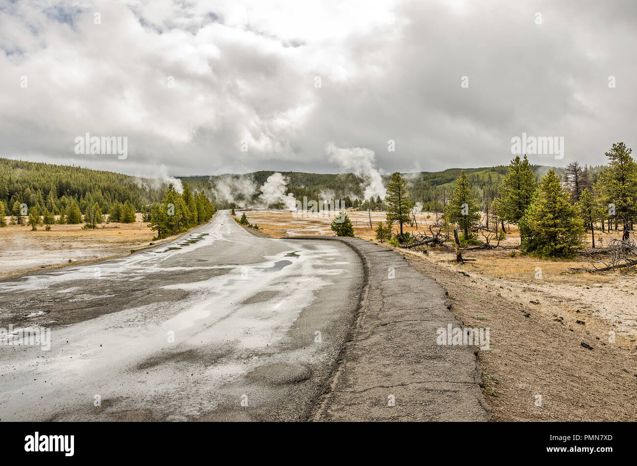 Per la maggior parte del cielo nuvoloso con un po' di blu, una strada bagnata e Yellowstone il famoso attività termica in anticipo Foto Stock