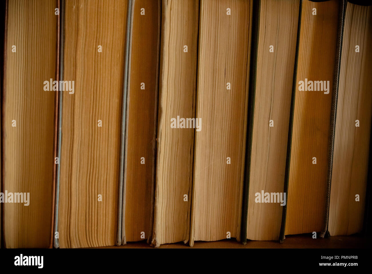 Pila di libri sfondo. molti libri pile.vecchi libri antichi sfondo. Manoscritti antichi.Prenota sfondo.vintage libri in una fila.Il fuoco selettivo Foto Stock