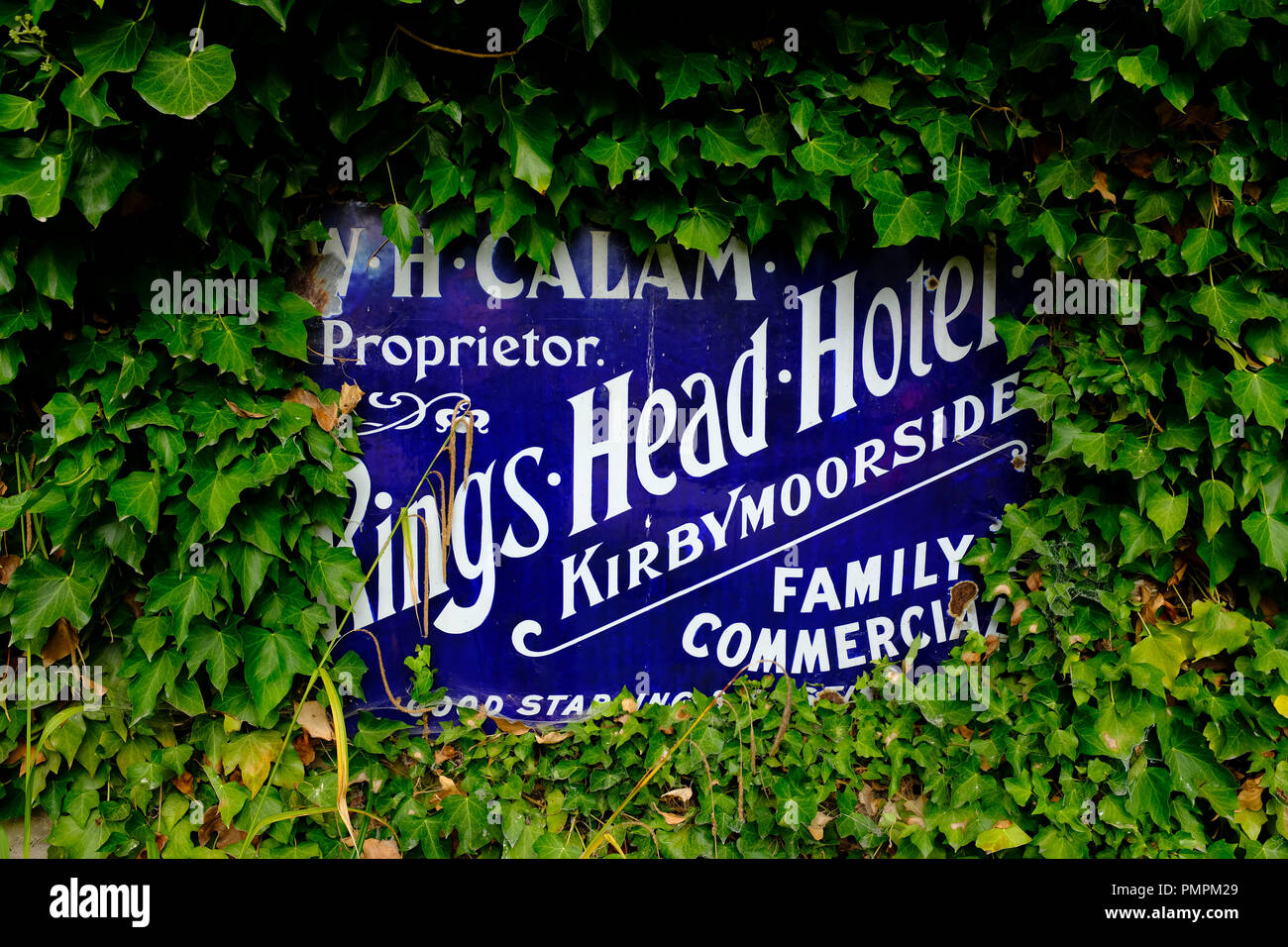 Vintage Kings Head Hotel segnaletica a Ryedale Folk Museum, Hutton Le Hole, Yorkshire Regno Unito Foto Stock