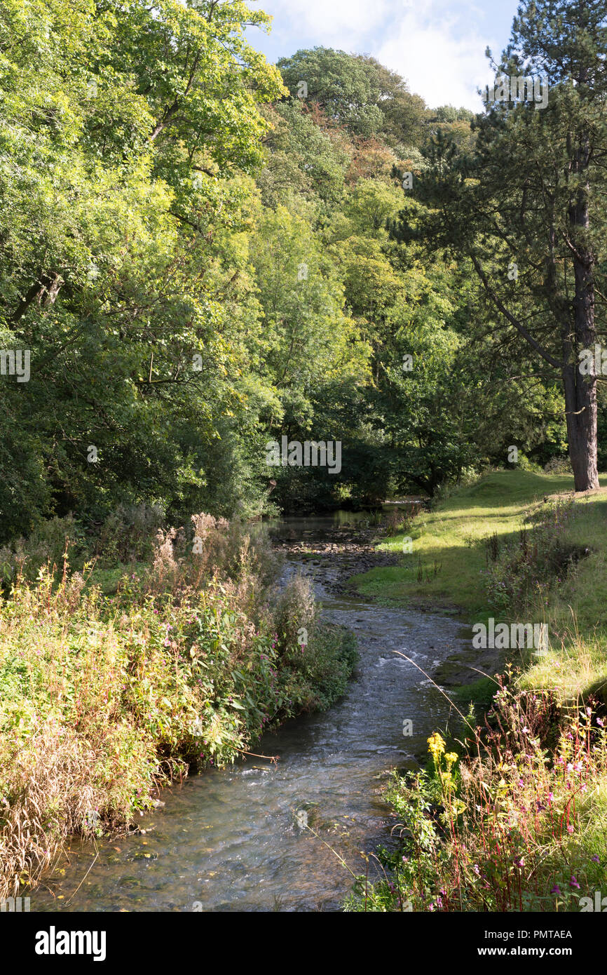 Il fiume Gaunless passando attraverso il parco di Auckland, Bishop Auckland, Co. Durham, England, Regno Unito Foto Stock