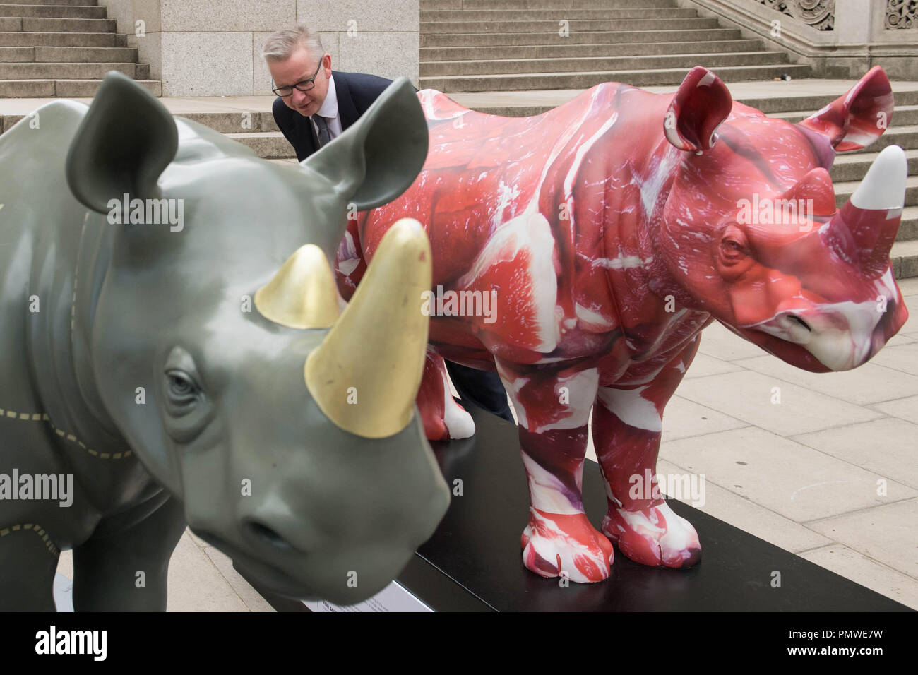 Ambiente segretario Michael Gove con il brosmio fiducia rhino statue d'arte al di fuori del Foreign Office di Londra, precedendo il traffico illegale di fauna selvatica Trade Conference. Foto Stock