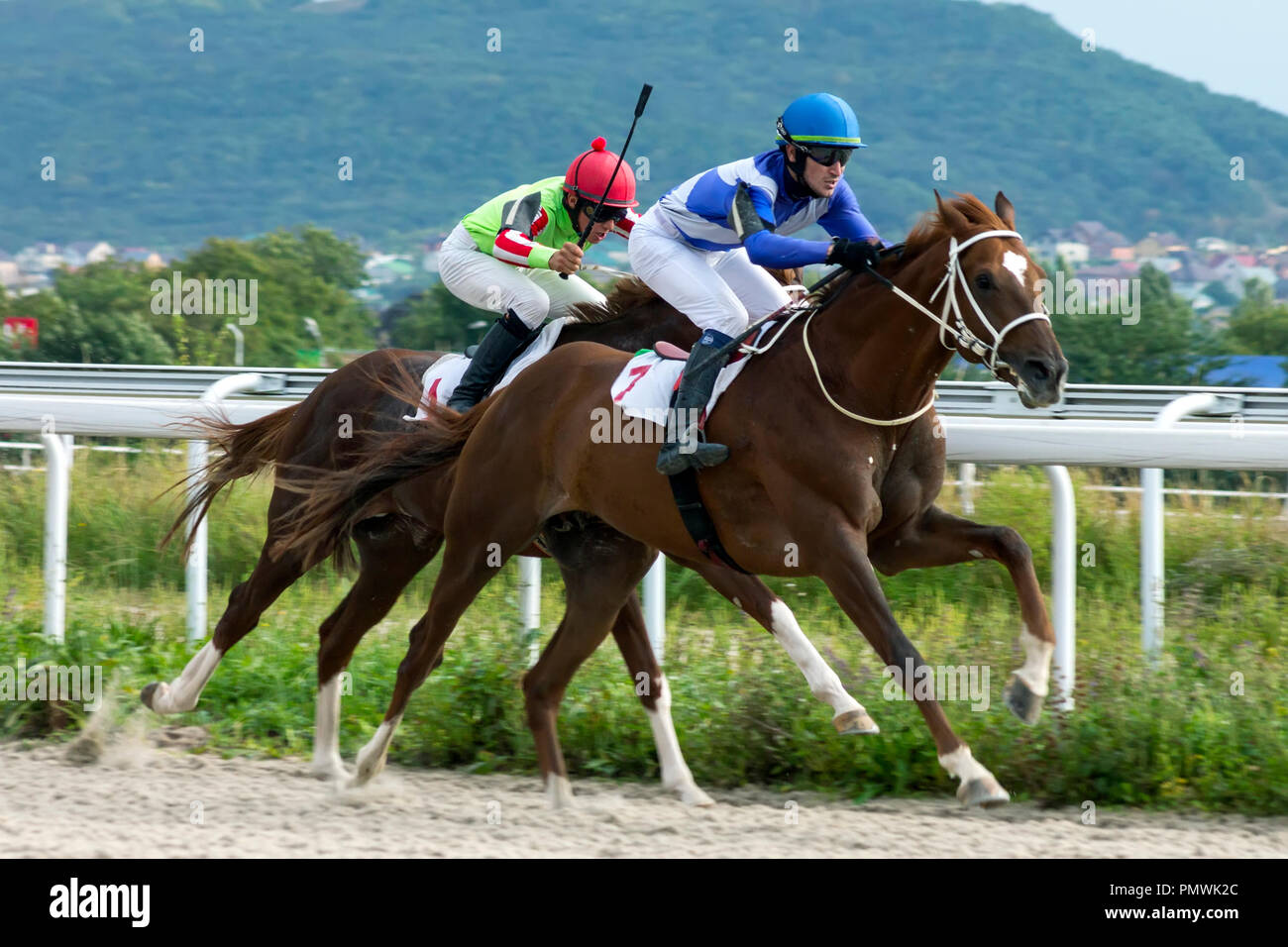 PYATIGORSK, Russia - 16 settembre 2018:corsa di cavalli per il premio del Caucaso del Nord sul Pyatigorsk ippodromo,Caucaso settentrionale,Russia. Foto Stock