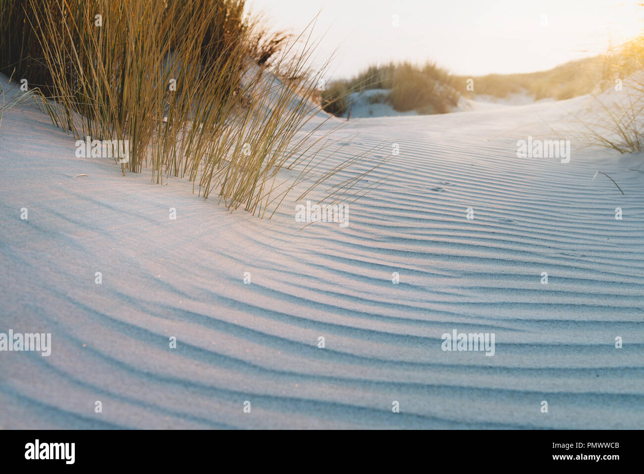 Ripple modello di sabbia in dune con erba a parte. Foto Stock