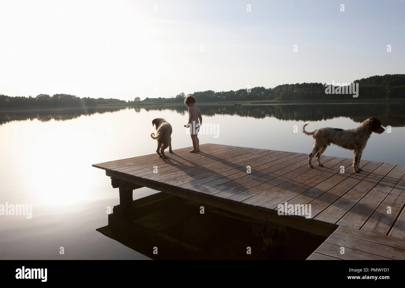 Ragazza e cani su lakeside dock Foto Stock
