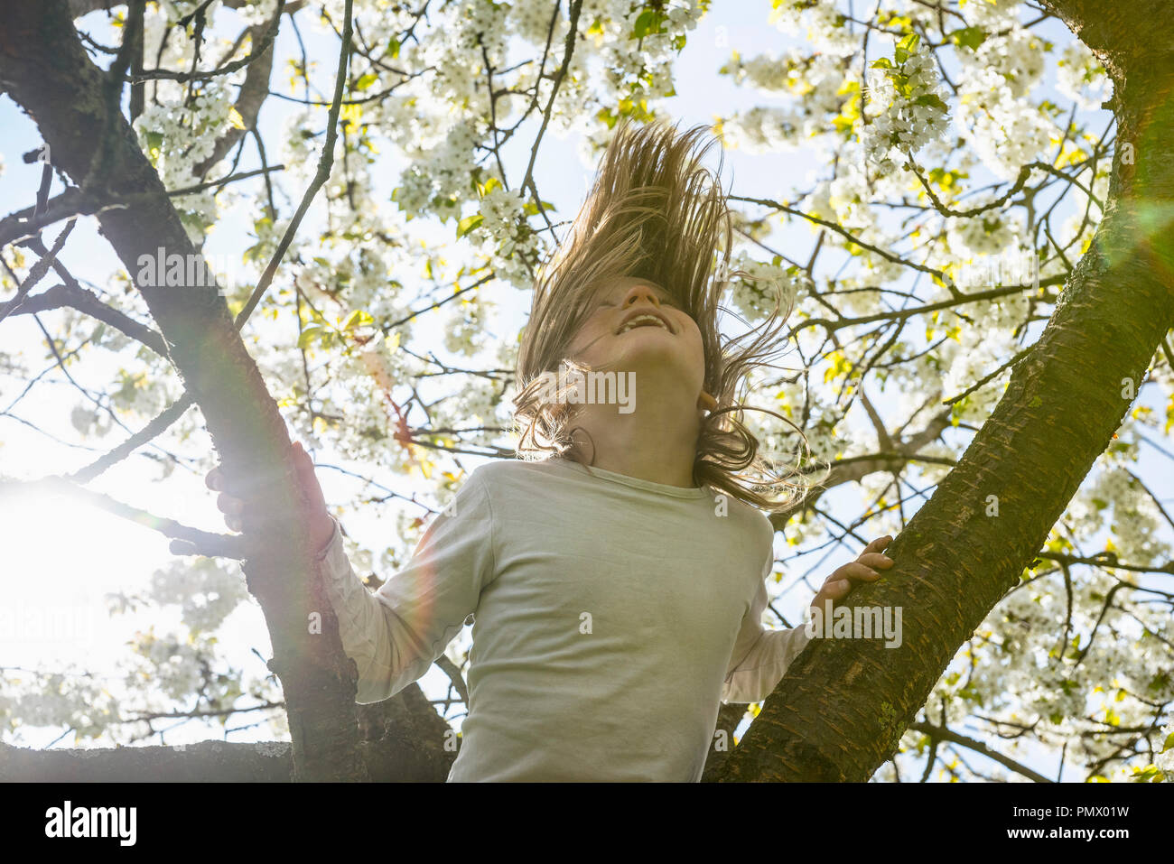 Giocoso ragazza arrampicata albero a molla Foto Stock