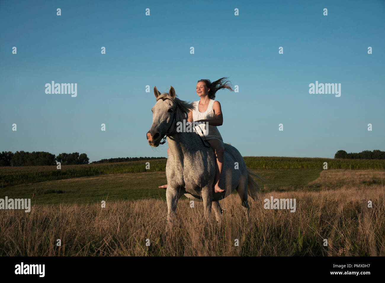 Ragazza di equitazione nella soleggiata, campo rurale Foto Stock