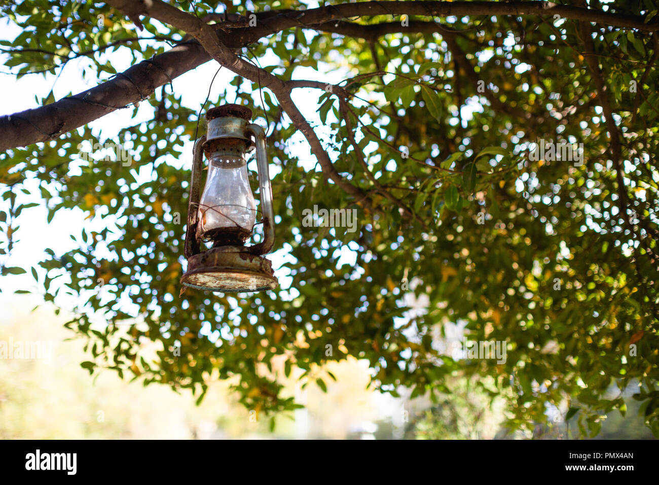 Un vecchio olio lampada ardente appeso in alberi di un giardino urbano per creare uno spazio tranquillo su un giorno d'estate Foto Stock