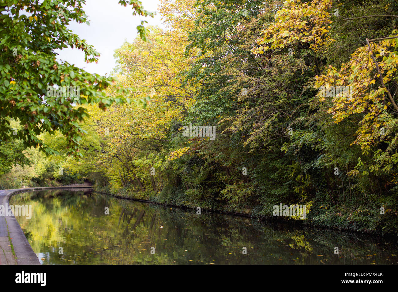 Regent's Canal a Londra cercando tranquilla con alberi e foglie di autunno colori riflessi nell'acqua Foto Stock