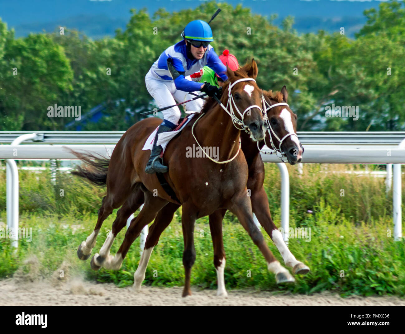 PYATIGORSK, Russia - 16 settembre 2018:corsa di cavalli per il premio del Caucaso del Nord sul Pyatigorsk ippodromo,Caucaso settentrionale,Russia. Foto Stock