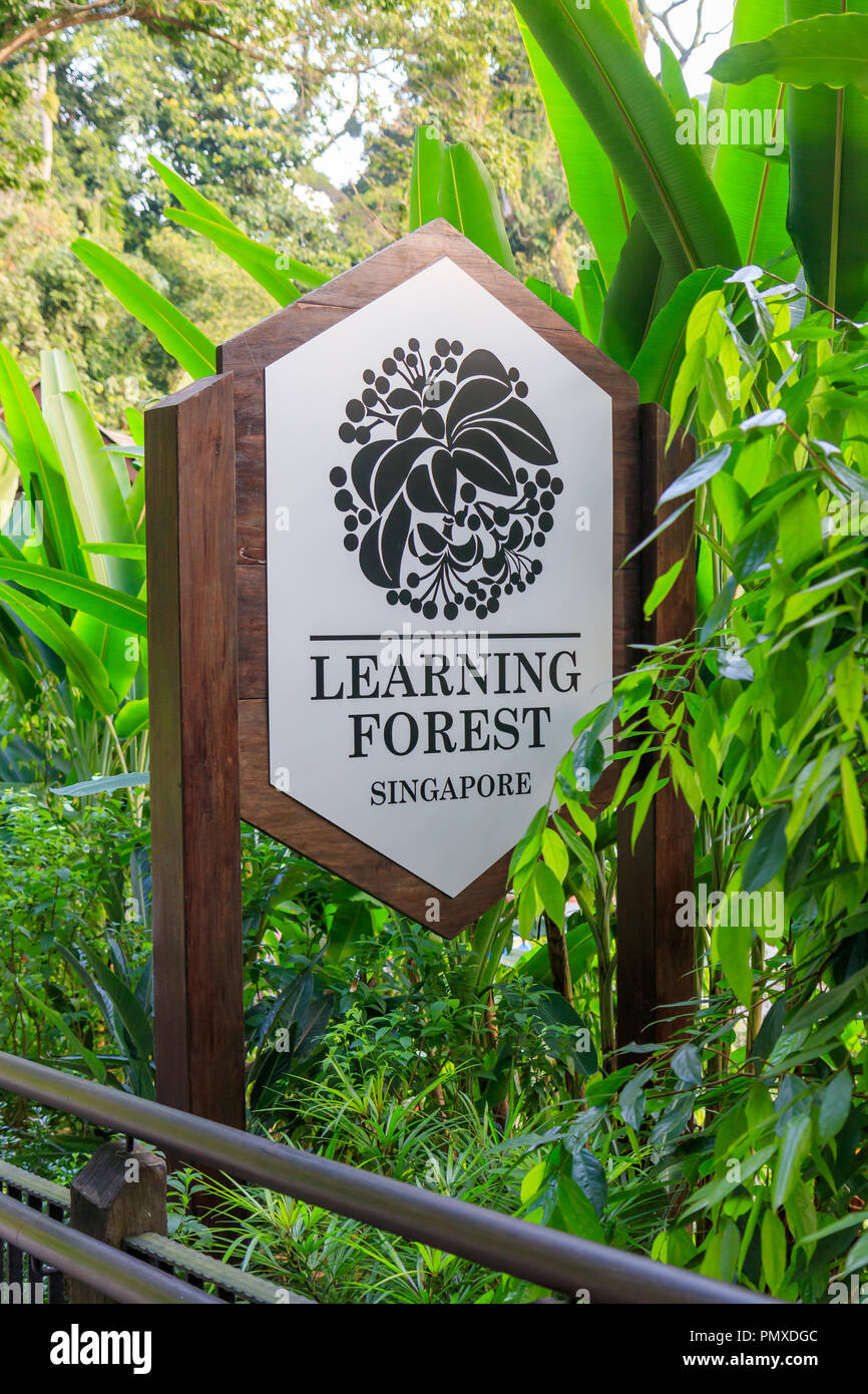 Singapore - Luglio 12, 2018: la foresta di apprendimento a Singapore Botanic Gardens Foto Stock