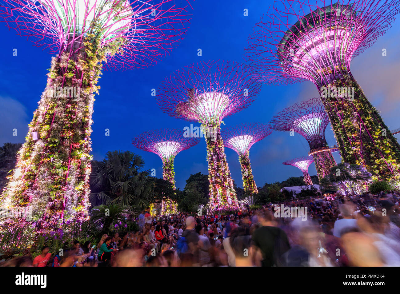 Singapore - Luglio 14, 2018: La Supertrees presso i giardini dalla Baia di Singapore Foto Stock
