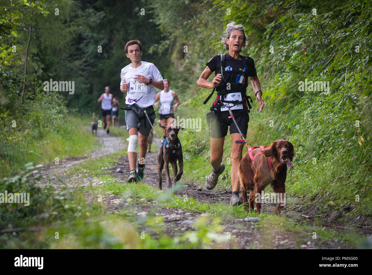 Francia, SAINT COLOMBAN DES VILLARDS. Agosto, 2015: i concorrenti in esecuzione con i cani sul sentiero forestale in Rhones Alpes, Trophee des Montagnes, Il Hardes Foto Stock