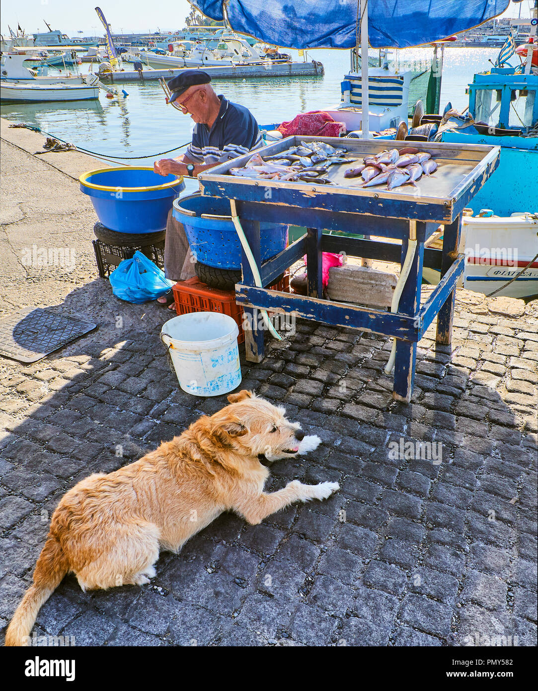 Kos, Grecia - Luglio 4, 2018. Un pescatore greco per la pulizia e la vendita di pesce fresco alla Kos porto di pesca, un'isola greca del Sud Egeo regione, Grecia. Foto Stock