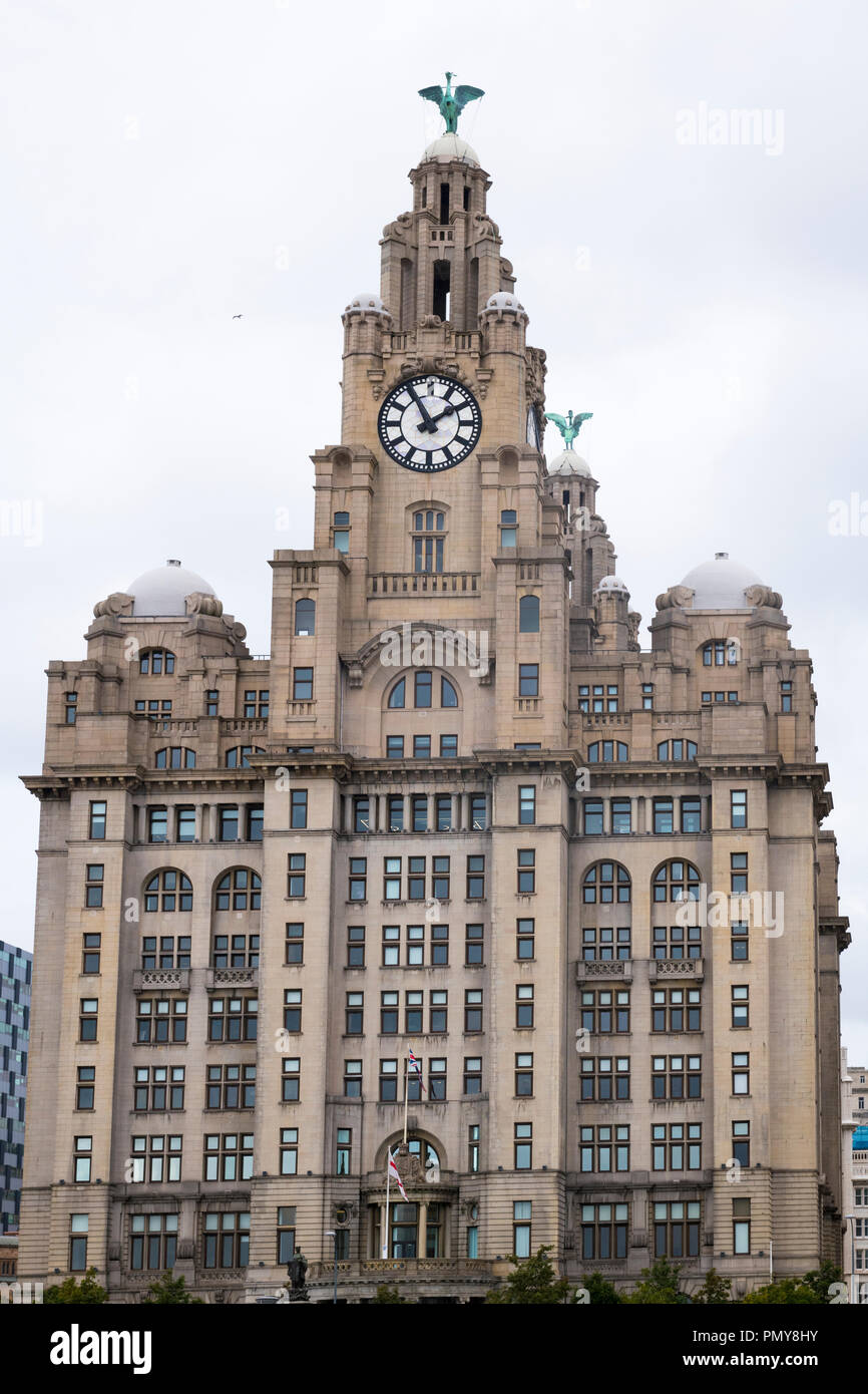 Sul lungomare di Liverpool Merseyside Pier Head Royal Liver Building costruito 1911 Assicurazione Assicurazione orologio clocktower fegato cupola uccelli windows 322ft alta Foto Stock