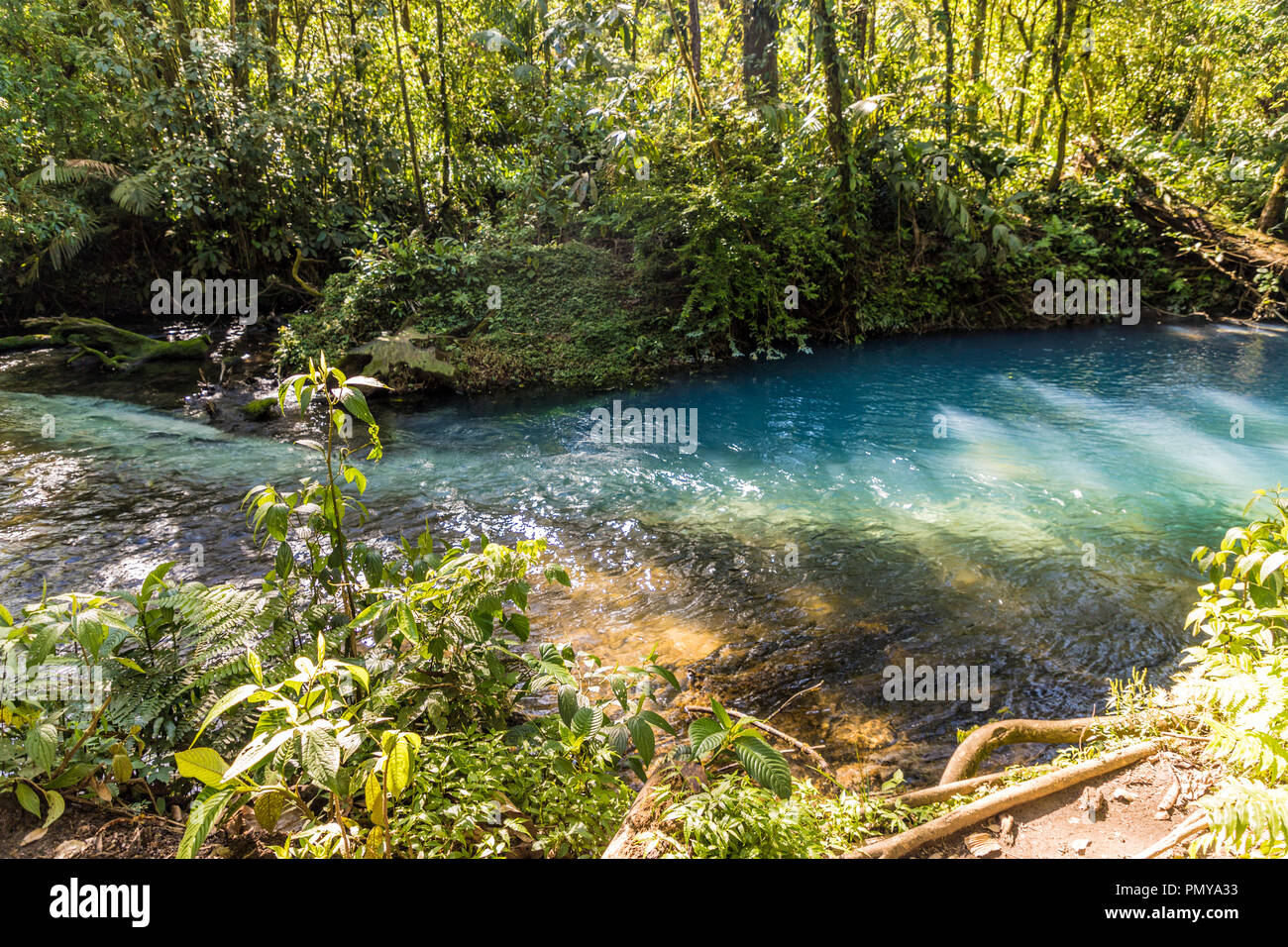 La Fortuna, Costa Rica. Marzo 2018. Una vista del Rio blu Celeste in Costa Rica Foto Stock