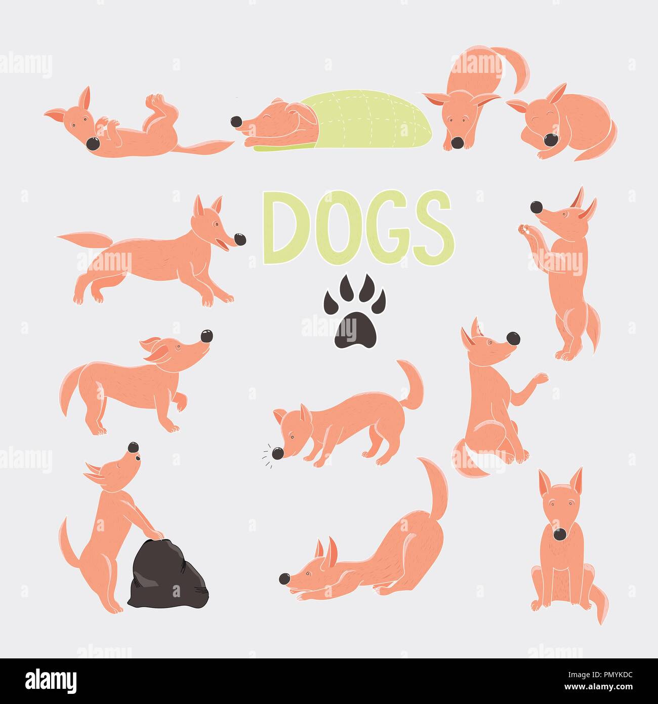 Orange cartoon dog set di caratteri. Dodici cani rosso in diverse pose. Illustrazione Vettoriale