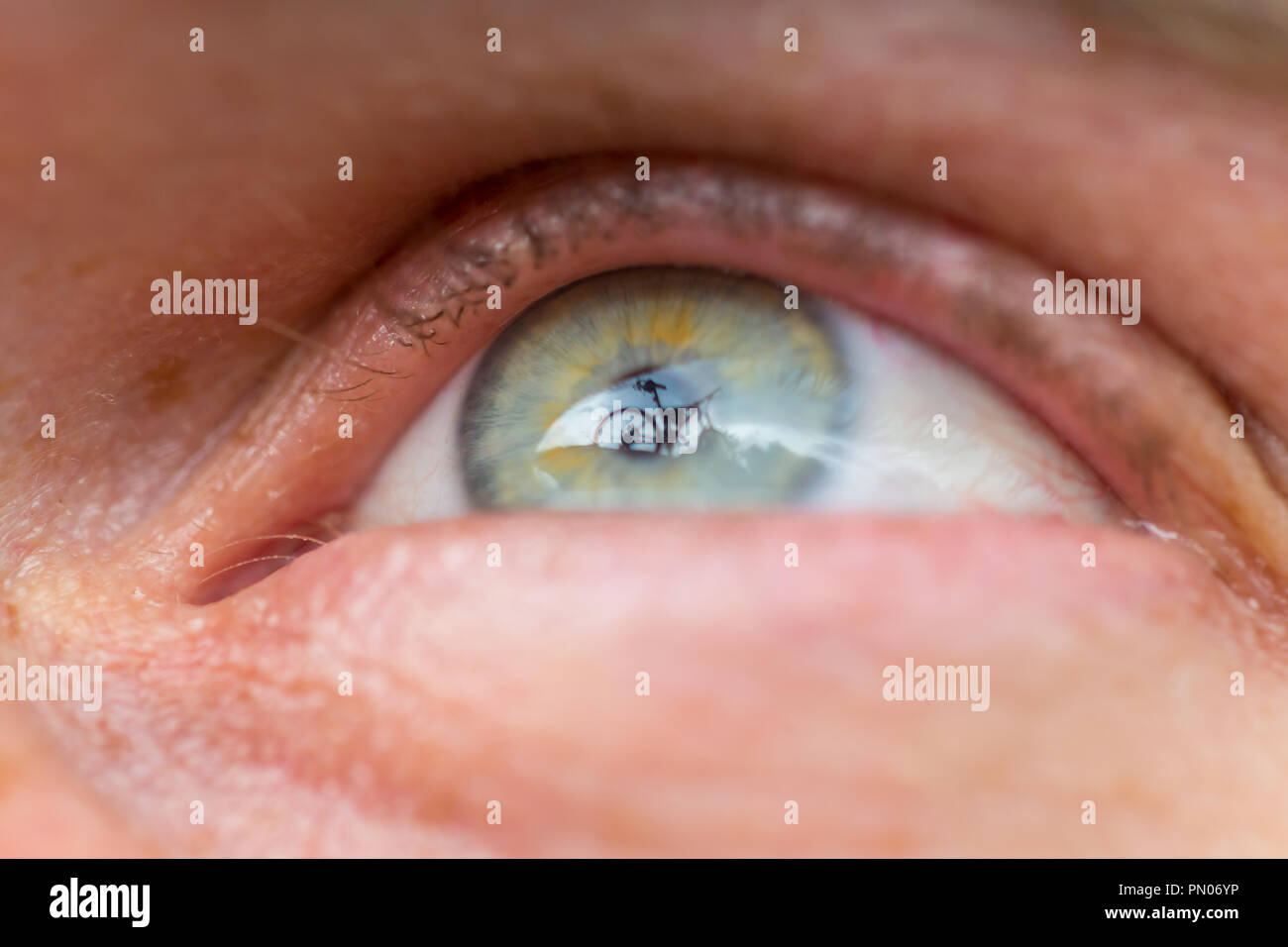 La riflessione di una bicicletta nella pupilla umana. Foto Stock