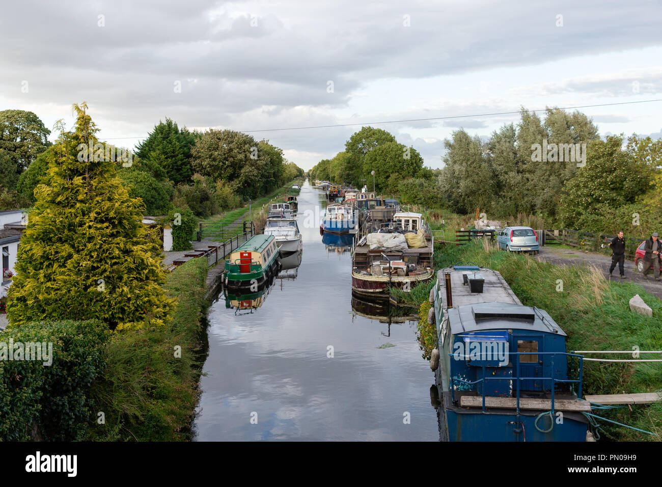 Barche ancorate presso il Grand Canal in Hazelhatch usato da persone come un alloggio. Hazelhatch, sud della contea di Dublino, Irlanda Foto Stock