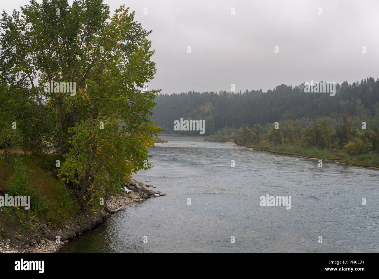 Edworthy Park Calgary Alberta Canada Foto Stock