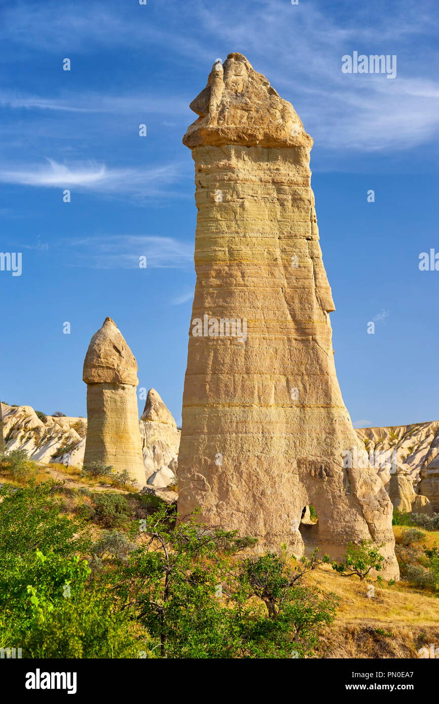Cappadocia - Camini di Fata formazione di roccia, Love Valley, in Anatolia, Turchia Foto Stock