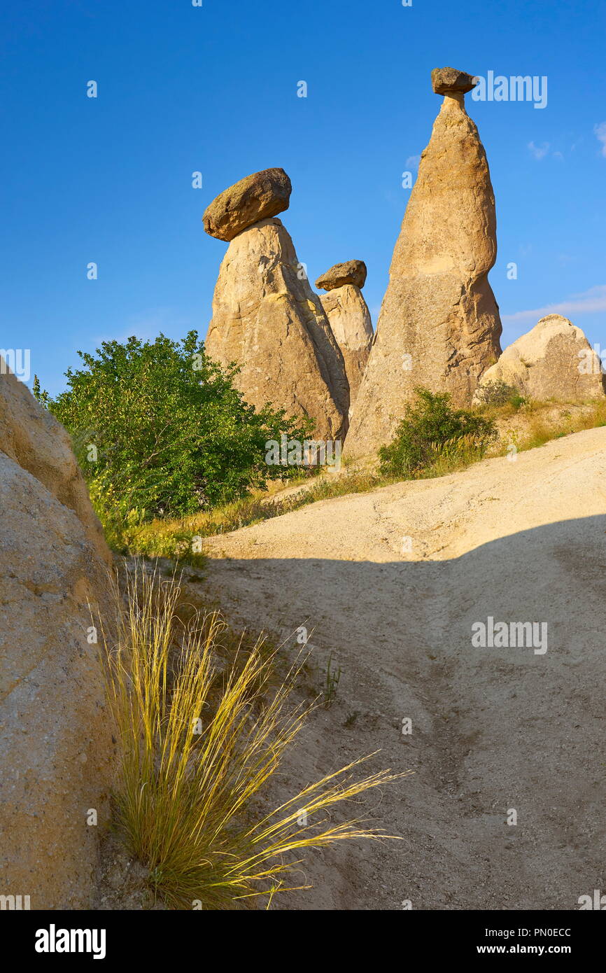 Camini di Fata formazione di roccia, Cappadocia, Turchia Foto Stock