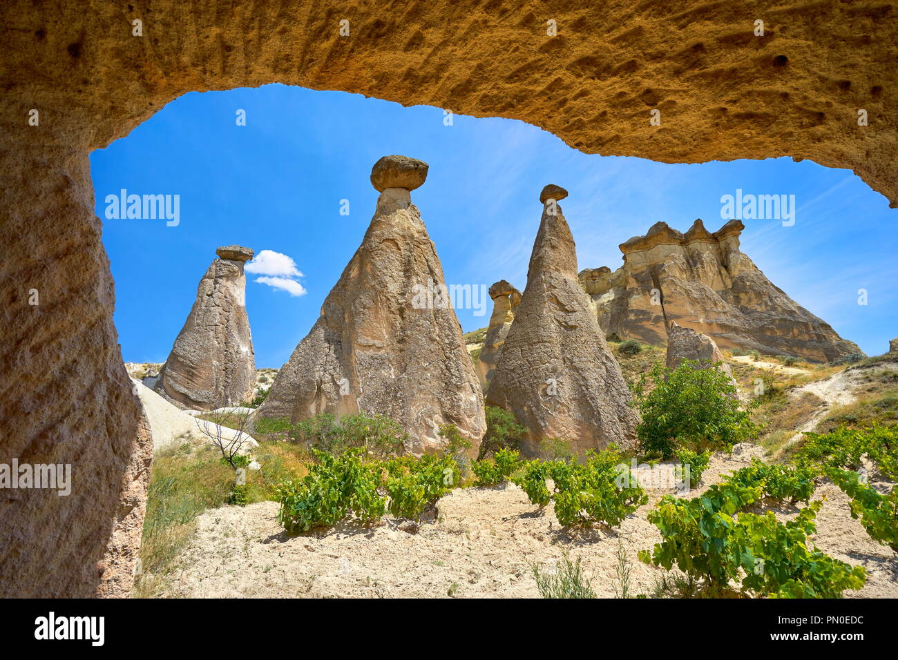 Camini di Fata formazione di roccia, Cappadocia, Anatolia, Turchia Foto Stock