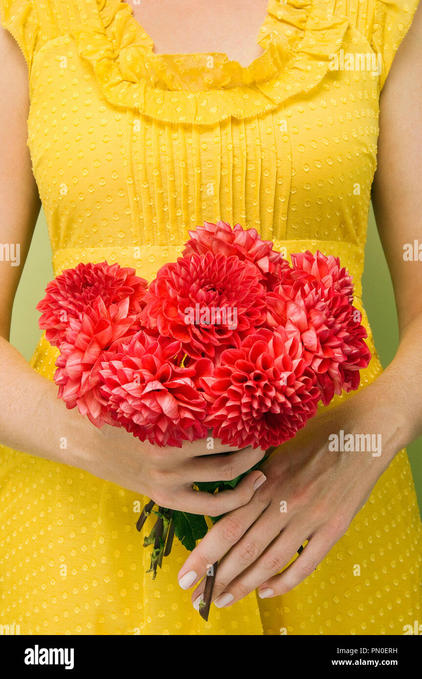 Mani tenendo una dalia bouquet Foto Stock
