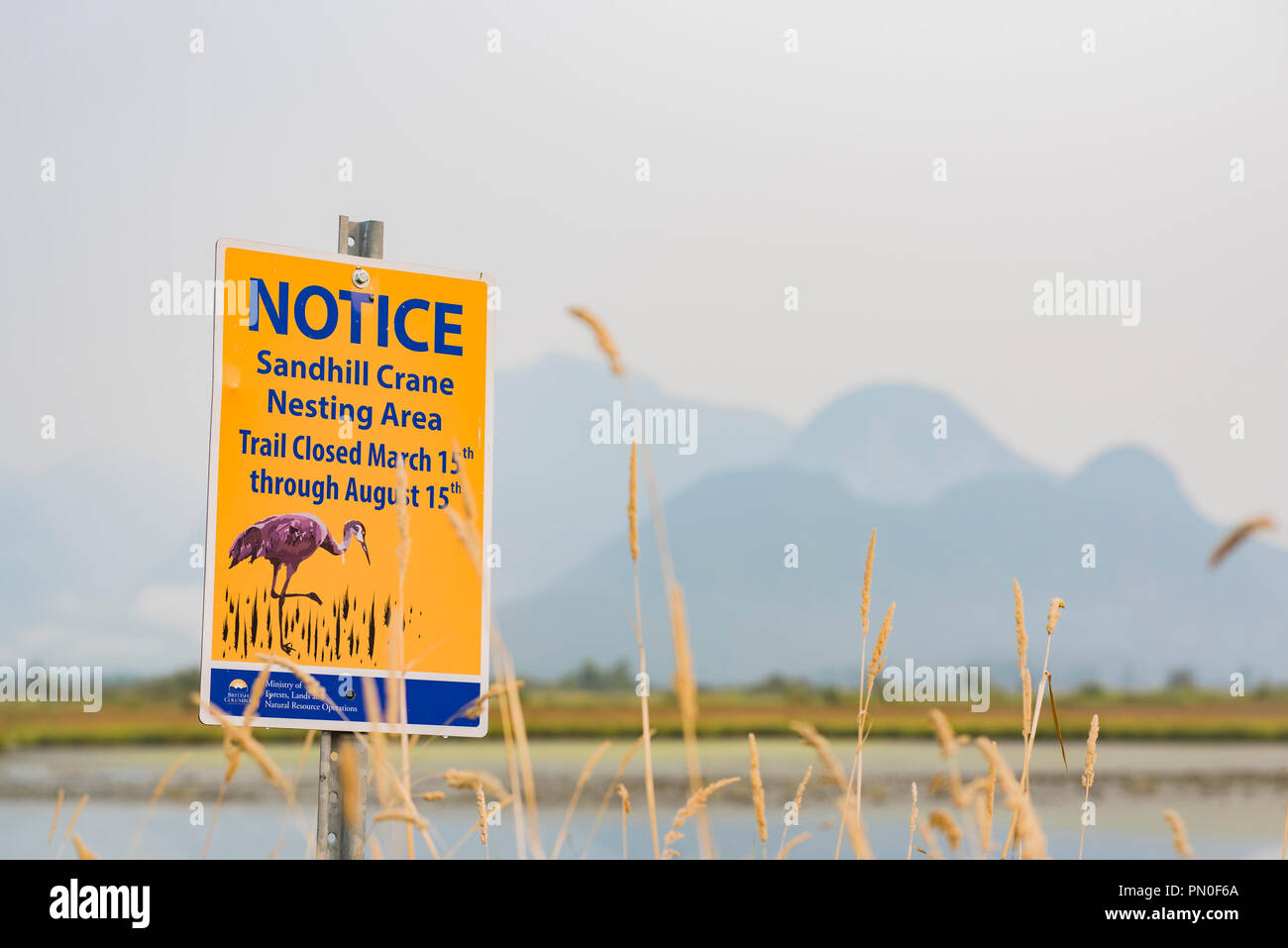 Segnavia nelle vicinanze Pitt Polder Riserva Ecologica, Pitt Prati, British Columbia, Canada Foto Stock