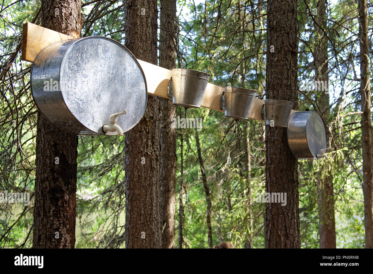 Qualche vecchio dissipatori in alluminio inchiodati ad un quadro appeso da alberi nel bosco. Essi sono utilizzati per il lavaggio delle mani in condizioni di campo exped Foto Stock