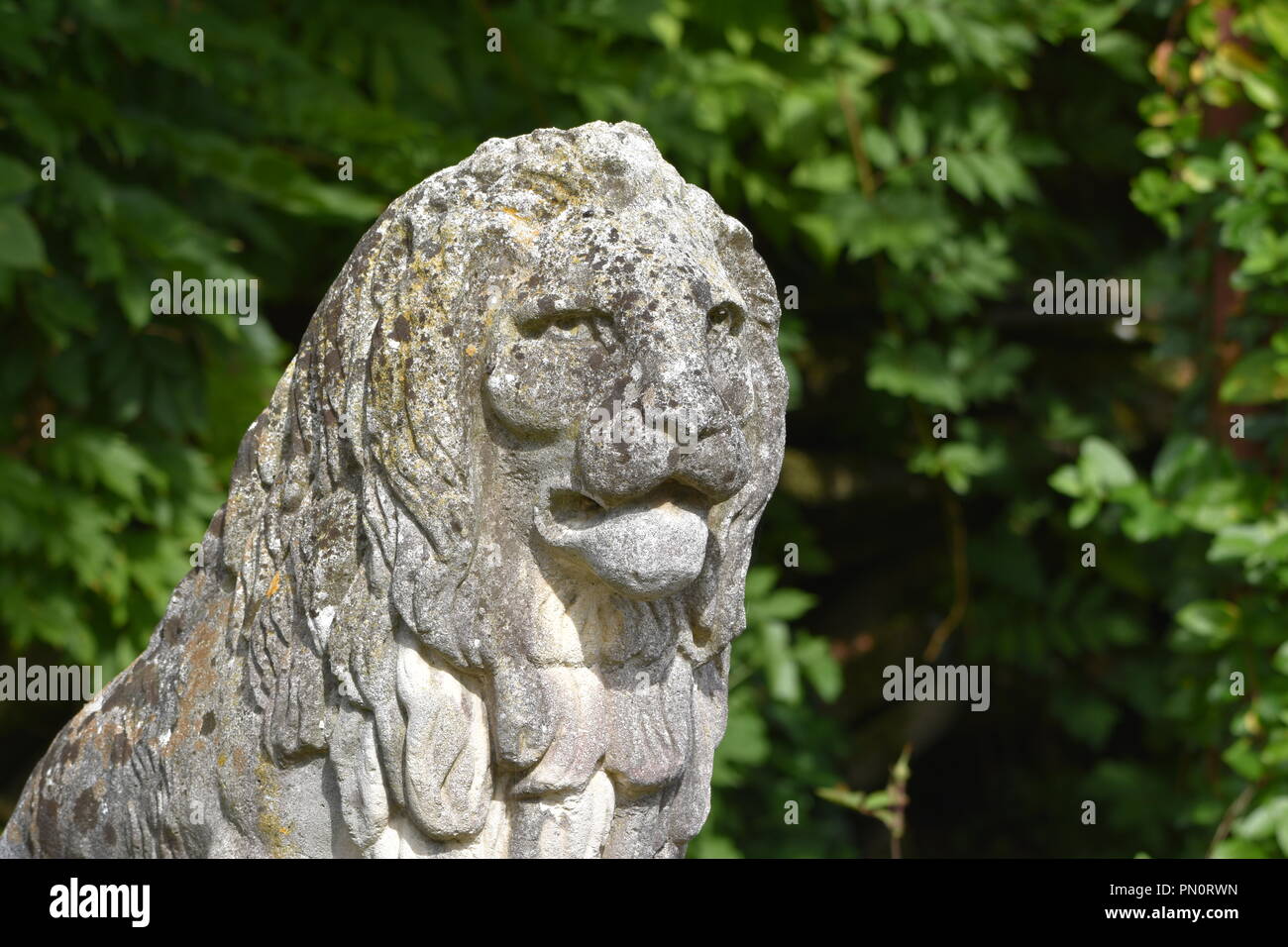 Leone di pietra statua Foto Stock