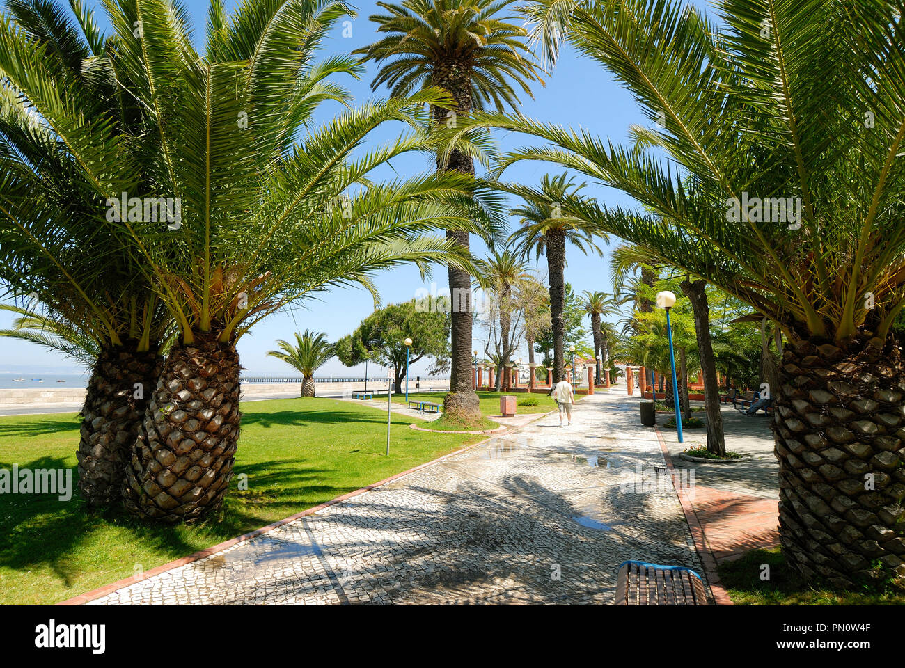 Il giardino pubblico di Alcochete. Portogallo Foto Stock