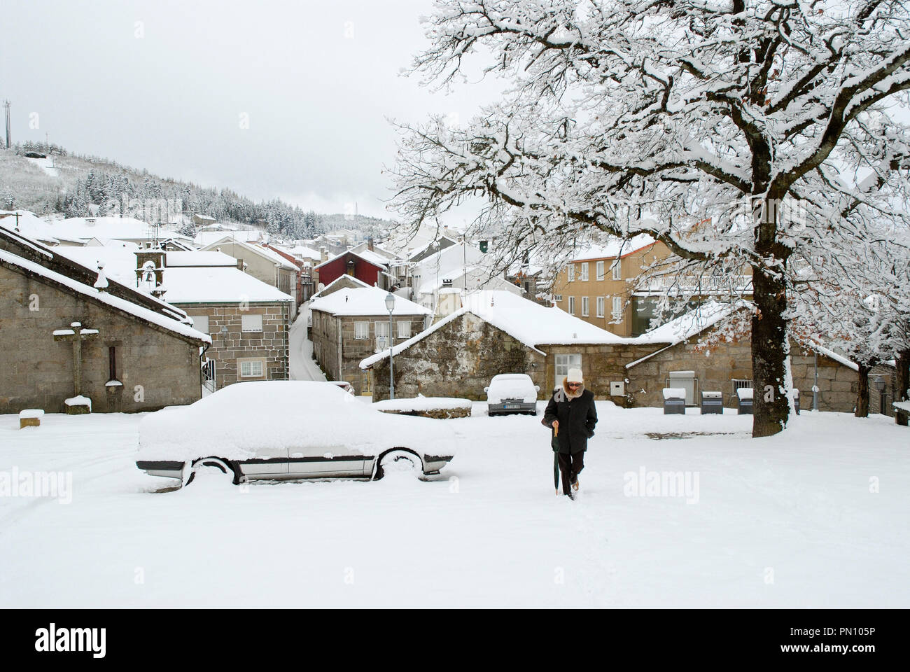 Gli alberi in un giorno di neve, Montalegre. Tras os Montes, Portogallo Foto Stock