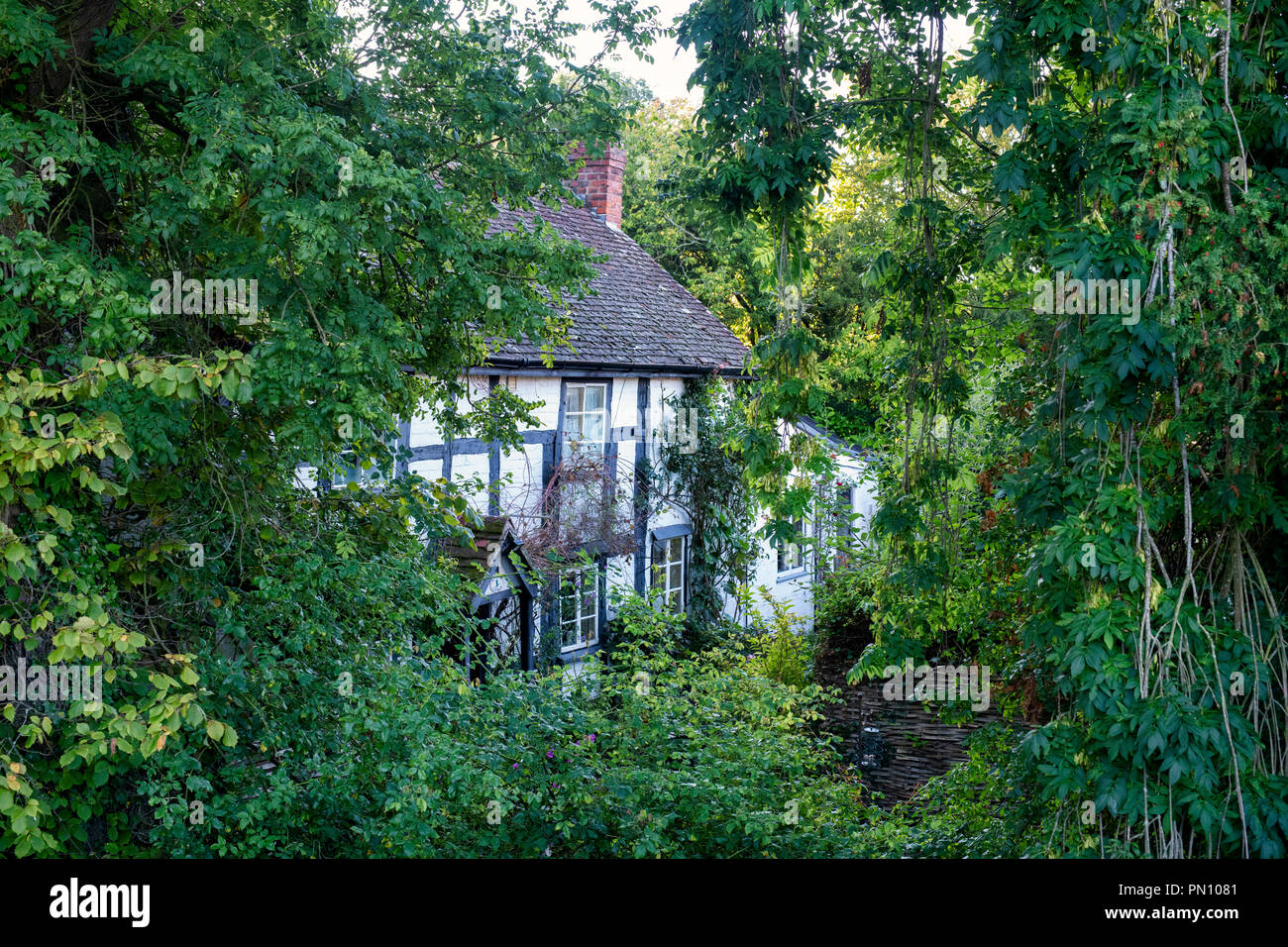 Bianco e Nero italiano la struttura di legno Cottage attraverso gli alberi. Eardisland, Herefordshire, Inghilterra Foto Stock