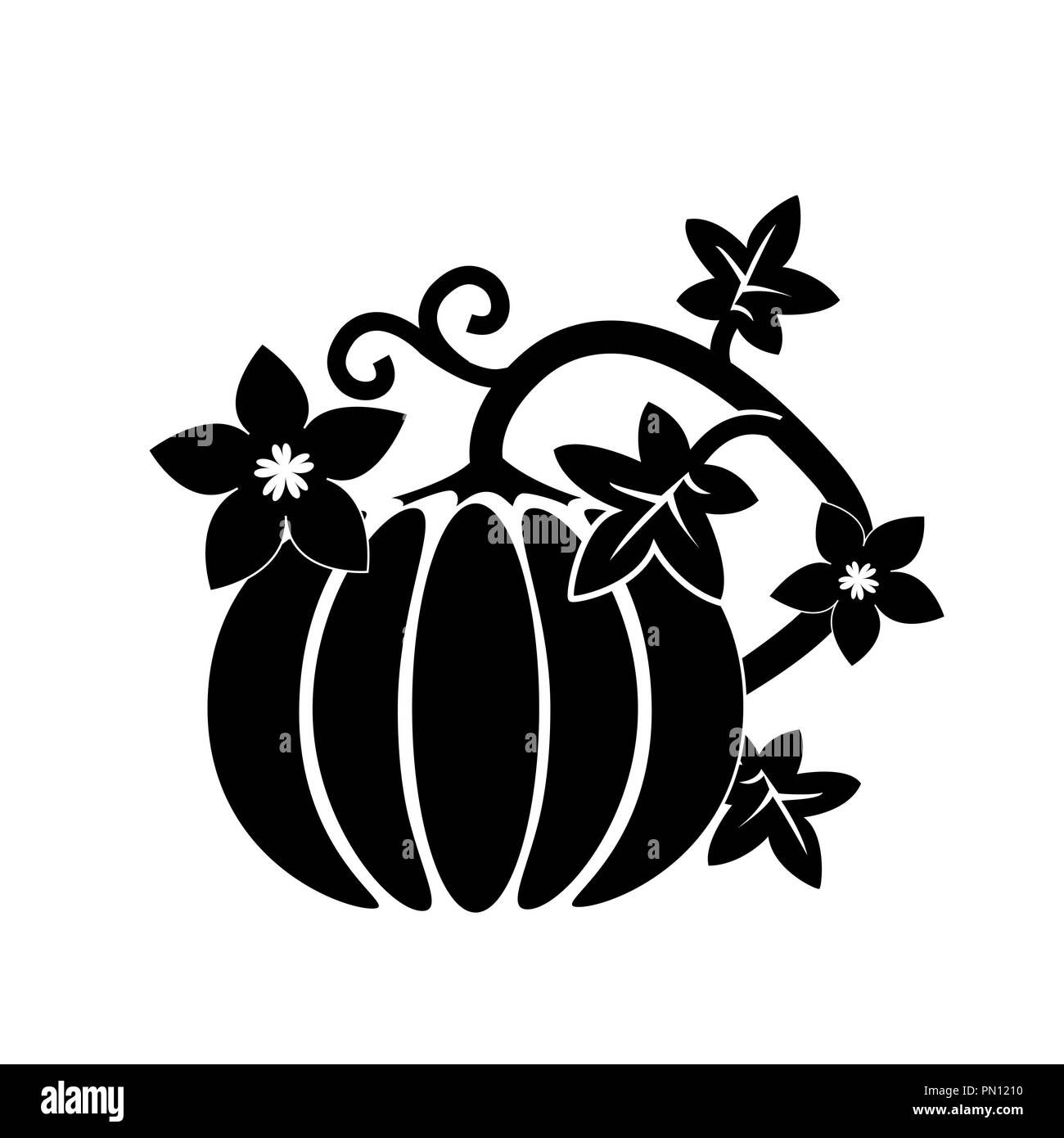 Cartoon zucca la Giornata del ringraziamento card vettore. Silhouette di zucca con fiori e foglie. In bianco e nero Illustrazione Vettoriale