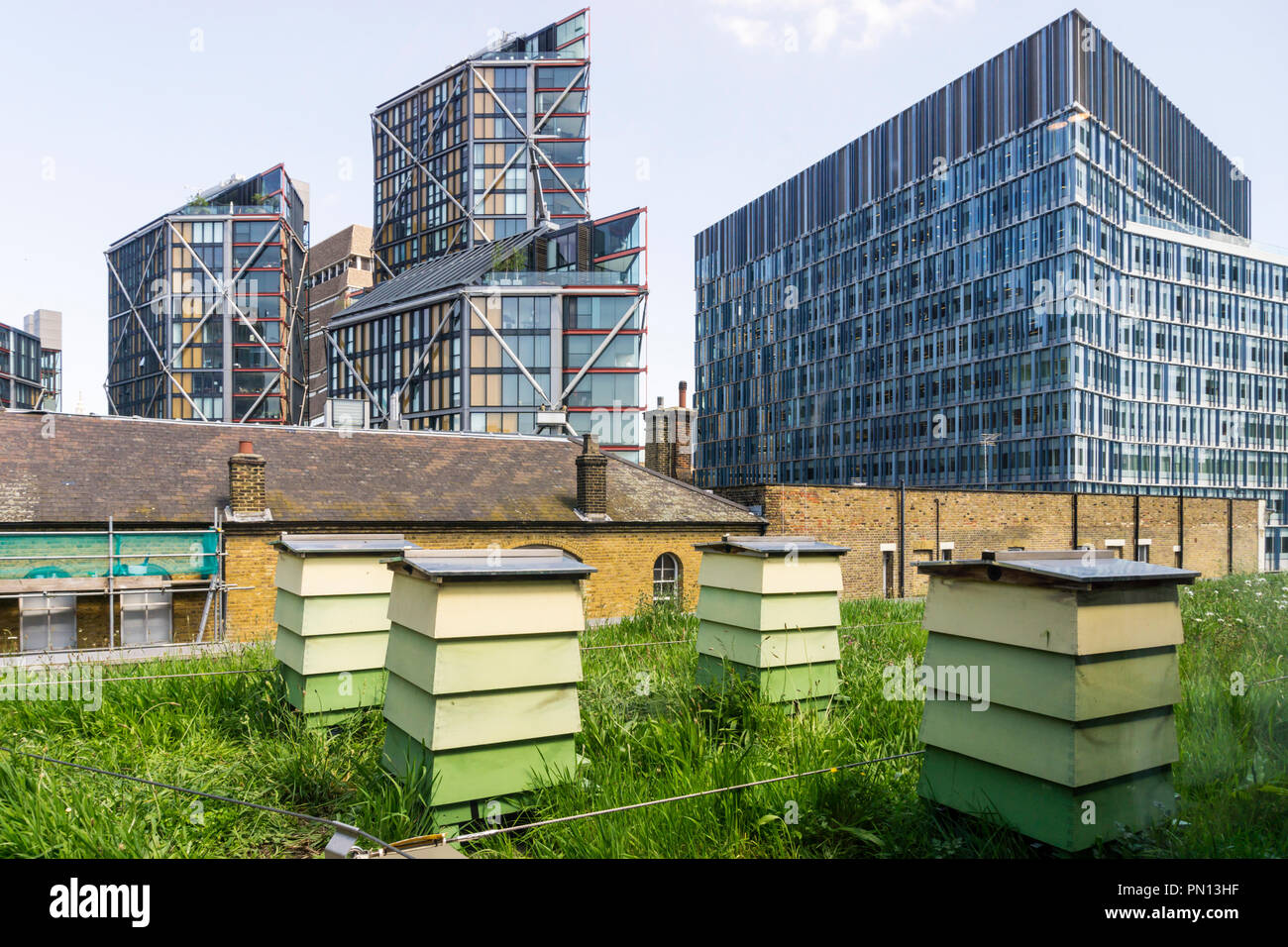Urban alveari su un tetto a Bankside, a sud di Londra. Foto Stock