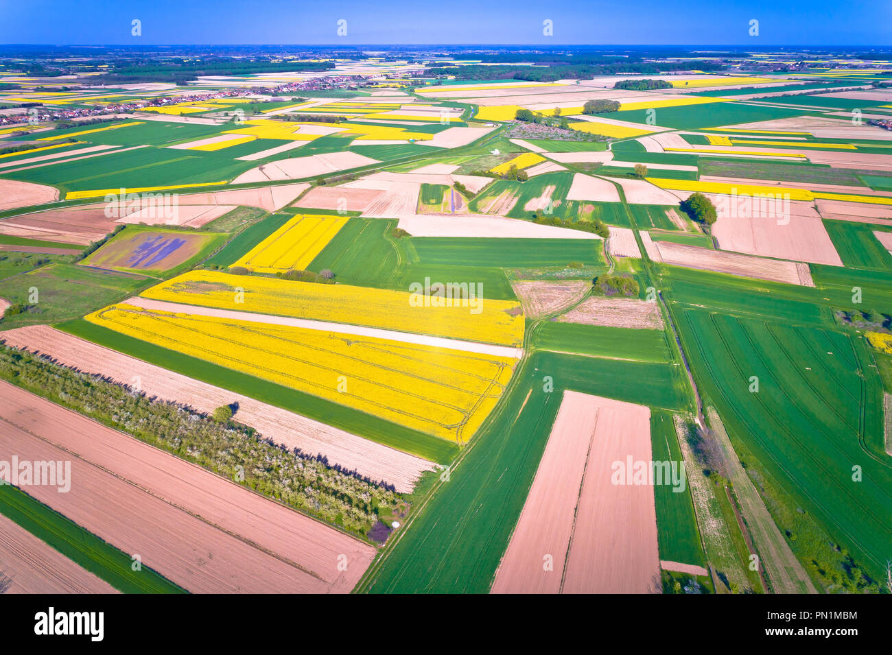 Agricoltura strati di Podravina regione vista aerea, nord della Croazia Foto Stock