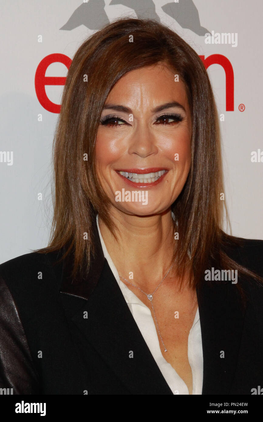 Teri Hatcher al ventesimo annuale del Fondo di adempimento stelle beneficio gala tenutosi presso il Beverly Hilton Hotel di Beverly Hills, CA, 14 ottobre 2014. Foto di Joe Martinez / PictureLux Foto Stock