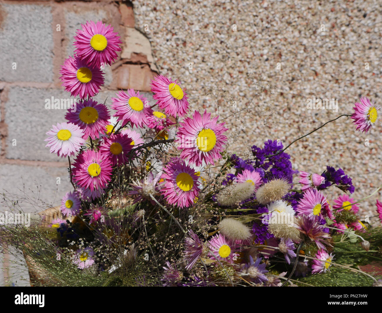 Mazzo di fiori secchi Foto Stock