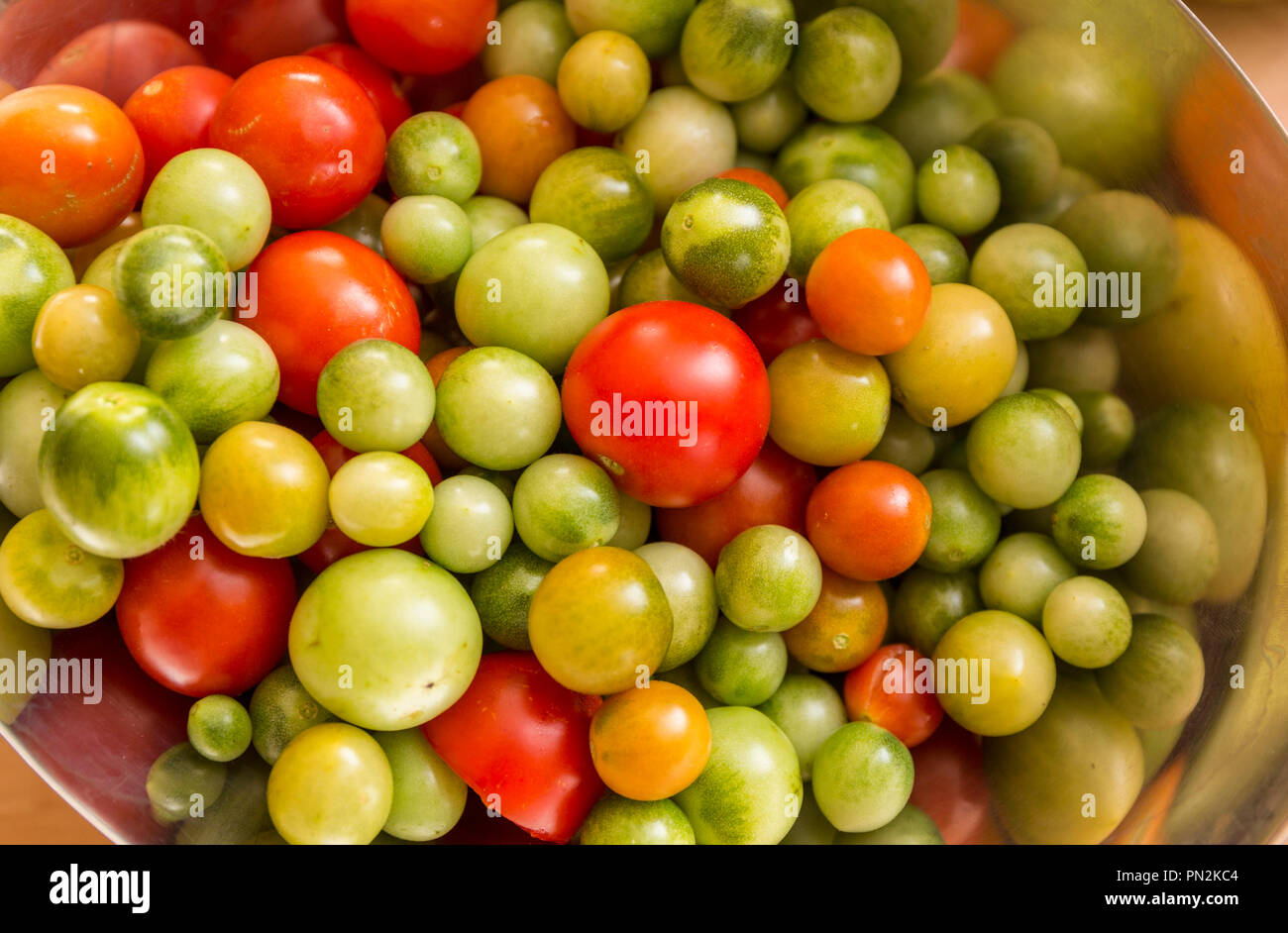 Alla fine della stagione i pomodori maturi e acerbi in una ciotola. Foto Stock