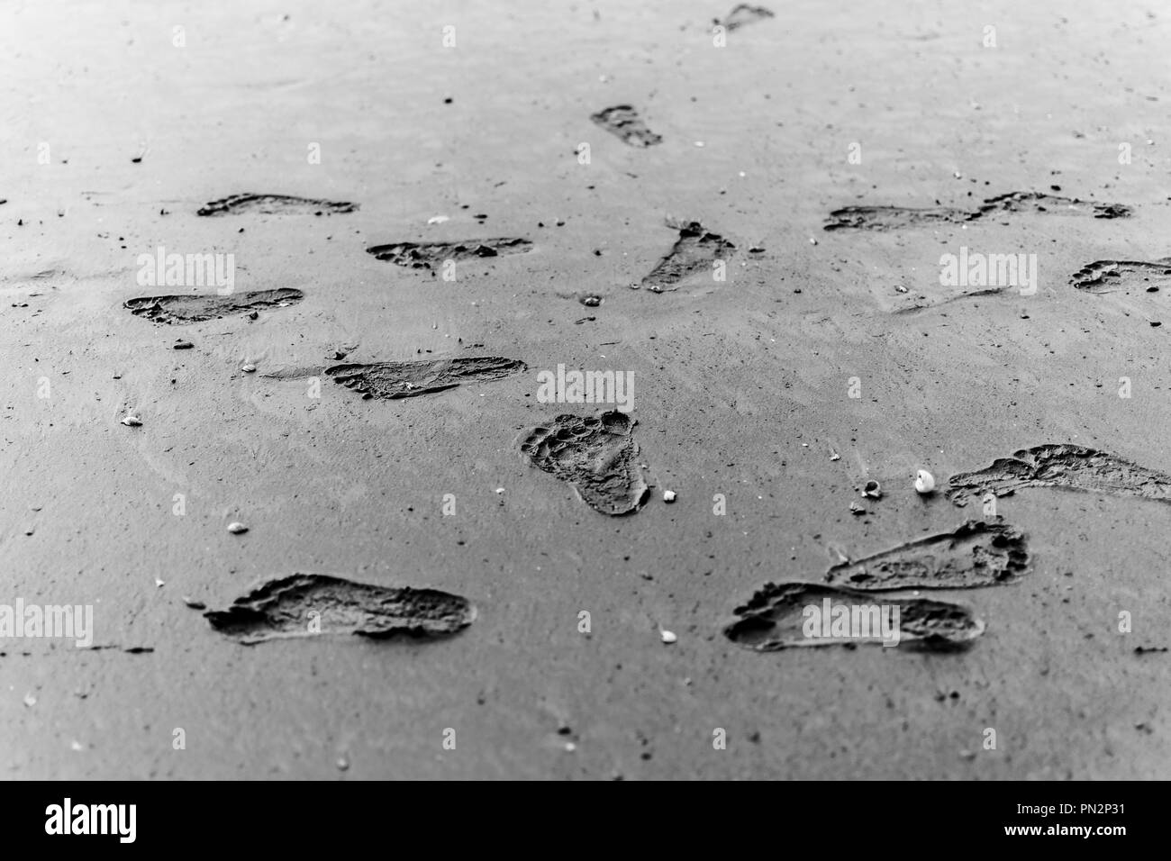 Baby di footprint impronta sulla sabbia bagnata dell'oceano Foto Stock